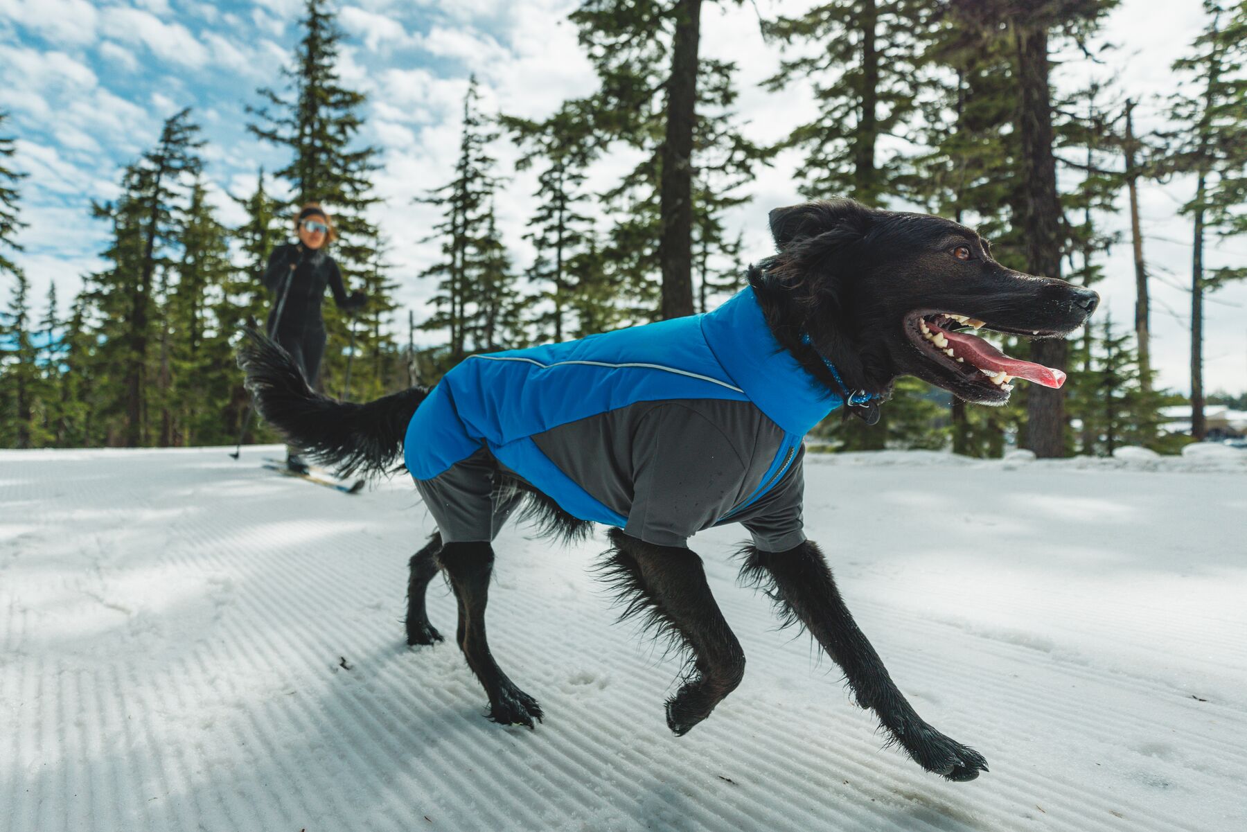 Zimní zateplený overal Ruffwear Vert™ Coverall