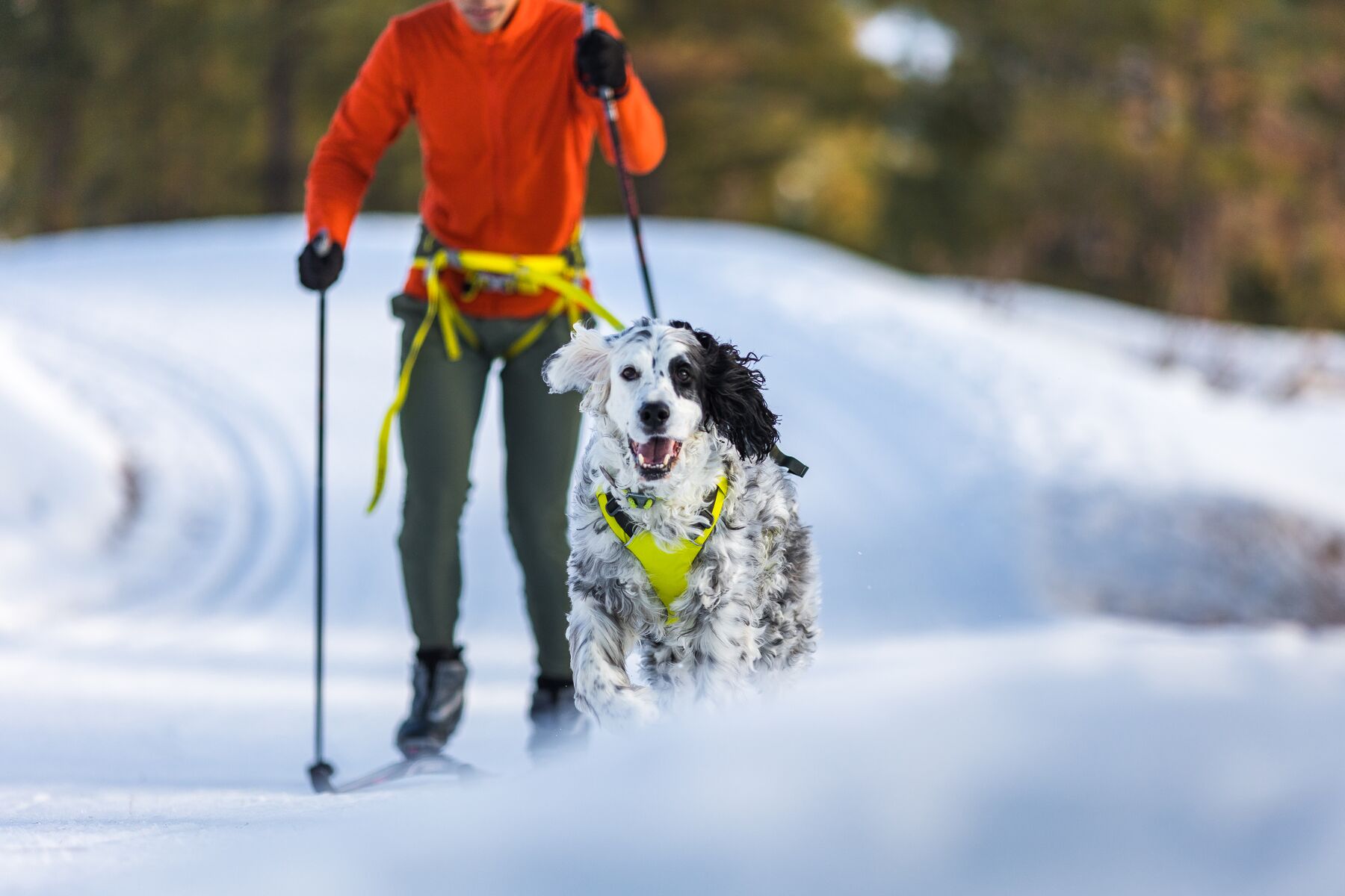 Běžecký set pro psovody Ruffwear Omnijore Jöring System
