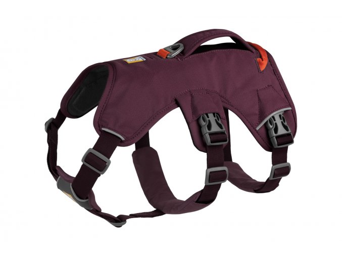 Web JPG 30103 Web Master Purple Rain Left STUDIO