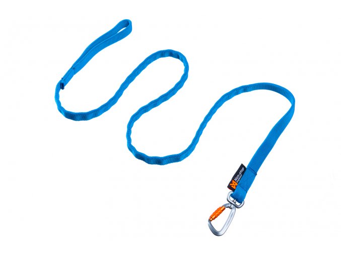 bungee leash blue 1