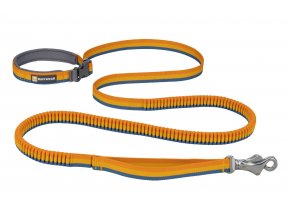 Web JPG 40356 Roamer Leash Yellow Snow PRINT