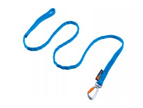 bungee leash blue 1