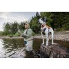 Web JPG 3511 Brush Guard Basalt Gray Jaime Lawrence Lake Photos Tyler Roemer Print 21