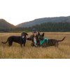Web JPG 30502 Front Range Harness Sparks Field Print 24