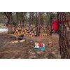 Web 4021 Knot A Hitch Red Currant Bodie 11