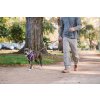 Web 40751 Front Range Leash Huckleberry Blue Sacramento Walking 02