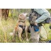 Web JPG 35991 Treat Trader Pouch Blue Pool Phil and Marley Metolius Photos Tyler Roemer Print 1