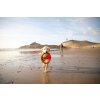 Web 6035 Pacific Ring Sockeye Red Beach Play 04