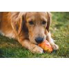 Web JPG 60711 Gnawt a Cone Toy Salamander Orange LIFESTYLE 7
