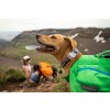 Web 25503 Top Rope Collar Sunset Steens Mountain 01