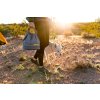 Web 20701 Kibble Kaddie Slate Blue Car Camping 03