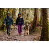 Web JPG 05303 Sun Shower Jen Sam Tua Washington Print 2