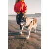 Web JPG 3078 Swamp Cooler Harness Rosies Dog Beach Brionna Loki PhotoLauraRose36