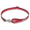 Web 40771 Patroller Leash Cinder Cone Red Attached