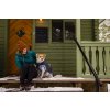 Web JPG 05151 Overcoat Fuse Basalt Gray Jac Laika Suttle Lake Print 15