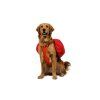 Web JPG 50204 Palisades Pack Red Currant On Dog 2 STUDIO