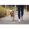 Web JPG 25703 Chain Reaction Collar River Rock Green Marv 1