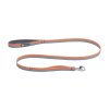 Web JPG 40753 Front Range Leash Spring Fade Main STUDIO