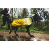 Web JPG 05303 Sunshower Mineral Yellow Portland 14 (1)