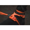 Web JPG 30104 Web Master Harness Blaze Orange LIFESTYLE 11