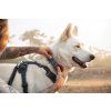 Web JPG 30503 Front Range Harness Basalt Gray Molly Loki Whidbey Freya Fenwood 24 (1)