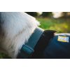 Web JPG 30821 Hi & Light Harness Basalt Gray Joanna Radar Hill 5