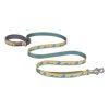 Web JPG 4081 Crag Leash Rising Wave PRINT