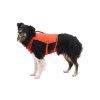 Web JPG 4525 Conflunece Life Jacket Tangelo Orange On Dog STUDIO