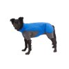 Web JPG 0568 Vert Coverall Blue Pool On Dog STUDIO