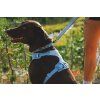 Web JPG 3072 Front Range Flex Harness Polar Blue Lifestyle RW 24