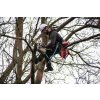 MG 4272 ARBORICULTURE + SKILL TREE + OREKA