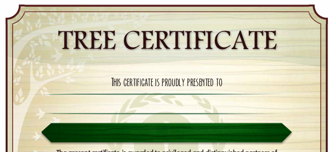 Zasadili jsme prvních 100 stromů v Ghaně