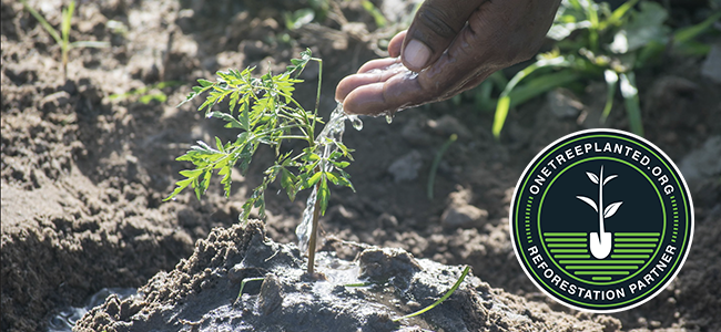 1 Rocketbook = 1 Strom