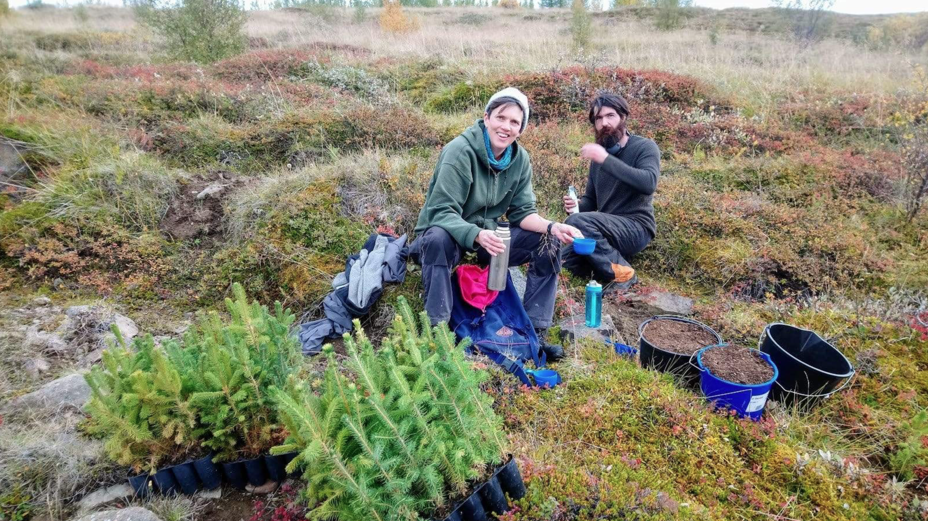 Zasadili jsme dalších 100 stromů na Islandu