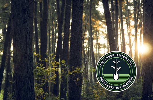 Jeden Rocketbook, jeden strom