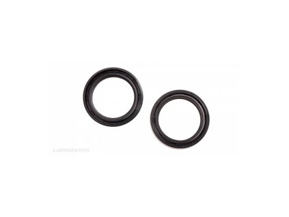 Simeringy do přední vidlice (31 x 43 x 10,3 mm), ATHENA (sada pro repasi 2 tlum.)