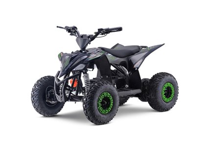 miniraptor1300