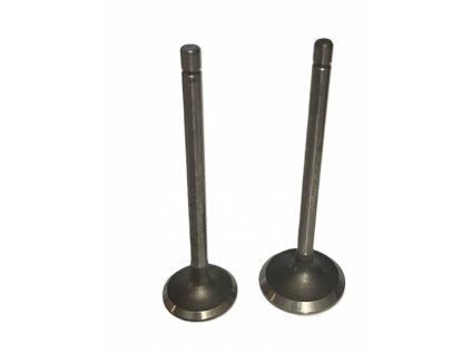 ventil saci vyfukovy