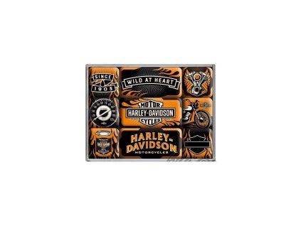 Sada magnetek HARLEY-DAVIDSON WILD 9 KS