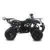 107679 5 atv toronto deluxe 7 kolesa 125ccm maskac zelena