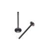 ventily saci vyfukovy pro motor 250cc 253fmm dvouvalec
