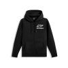 Mikina FORMULATION HOODIE, ALPINESTARS (černá) (Velikost S)