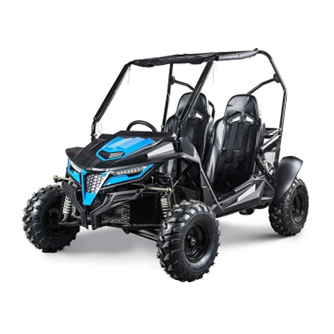 Offroad - Buggy