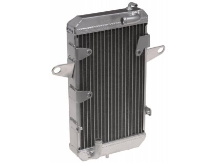 chladic can am 31219840 q tech