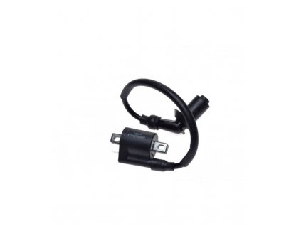 indukcni civka bs250s 5