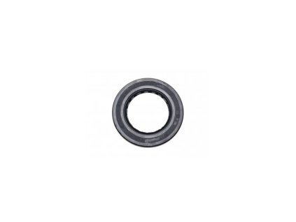 gufero 35x58x5 zadniho diferencialu cf moto