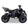Elektrická štvorkolka ATV WARRIOR XL 1000W - Zelená