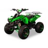Elektrická štvorkolka ATV WARRIOR XL 1000W - Zelená