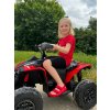 Elektrická štvorkolka Can-am Renegade, kaki, jednomiestna, odpružená predná a zadná náprava, LED Svetlá, 12V batéria, 2 x 35W Motory, mäkké EVA kolesá, MP3 prehrávač so vstupom USB/AUX, Licencovaná