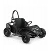 elektro buggy sunway go kart nitro 1000w